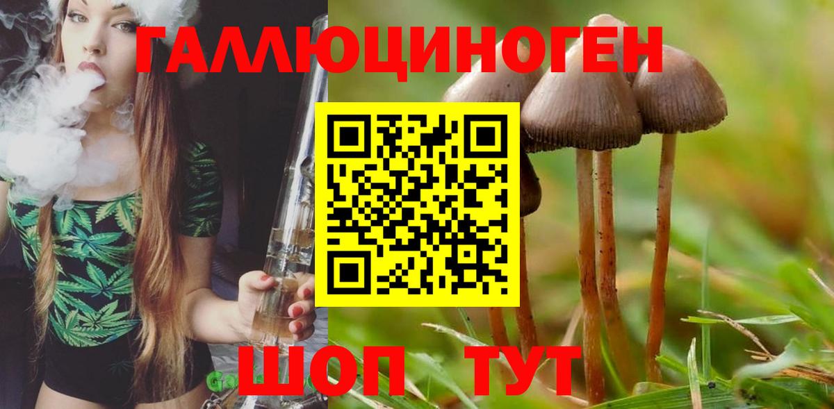 Псилоцибиновые грибы Psilocybe  Вход с VPN  Новый Уренгой 