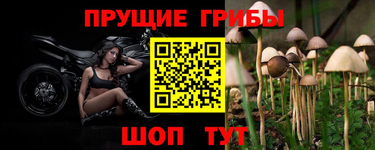 Псилоцибиновые грибы Cubensis Новый Уренгой